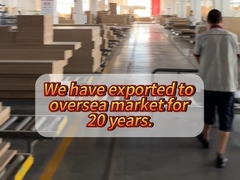 20 years of origin factory