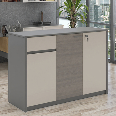 Company Leisure Area, Fashionable Tea Water Cabinet, Board Type Storage, Document Items, Low Cabinet, Practical Office, Wall Mounted, Floor Standing Cabinet