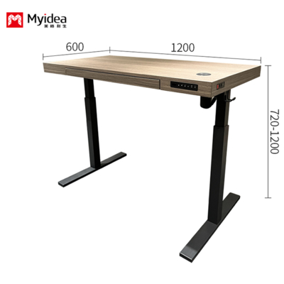Simple And Comfortable Executive Desk, Silent Single Motor Lifting Desk, Stable And Multifunctional Design Desk For Office Use