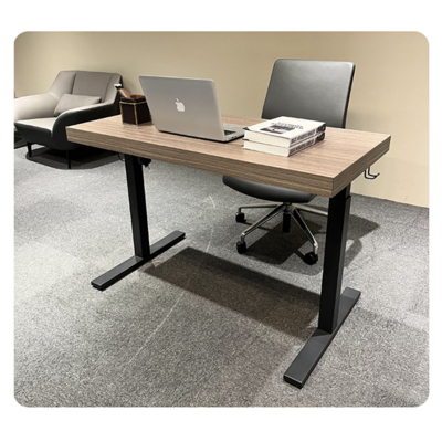 Simple And Comfortable Executive Desk, Silent Single Motor Lifting Desk, Stable And Multifunctional Design Desk For Office Use