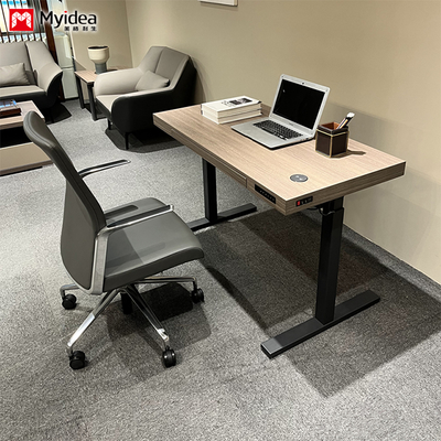 Simple And Comfortable Executive Desk, Silent Single Motor Lifting Desk, Stable And Multifunctional Design Desk For Office Use