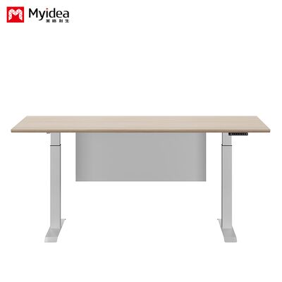 customization Simple Supervisor Desk Silent Dual Motor Lifting Desk, Stable and Multifunctional Office Design, Practical Desk