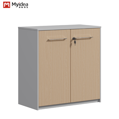Unique File Cabinet Office Foshan Factory Direct Supply Lock the Cabinet with a Key