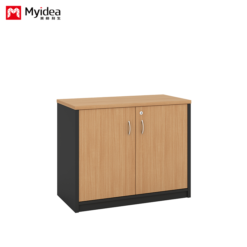 Double Door with Key Lock, Large Capacity Filing Cabinet, Wall Mounted Low Cabinet, Customizable Classified FilingCabinet